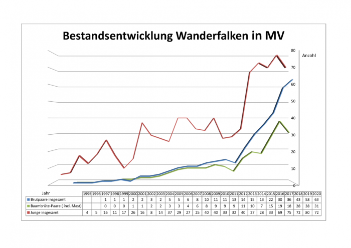 Statistik Wanderfalken bis 2020[2368].png